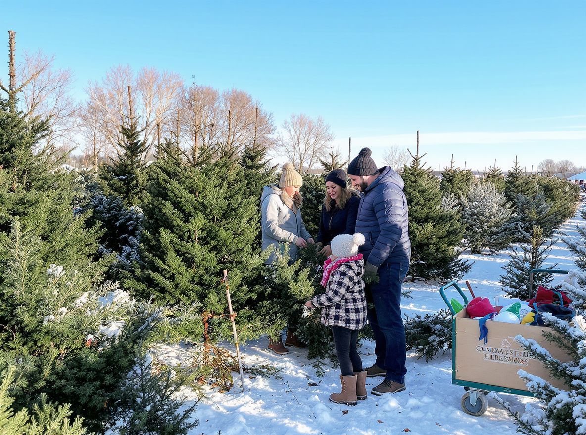 A friss fa sokkal tovább megőrzi szépségét.