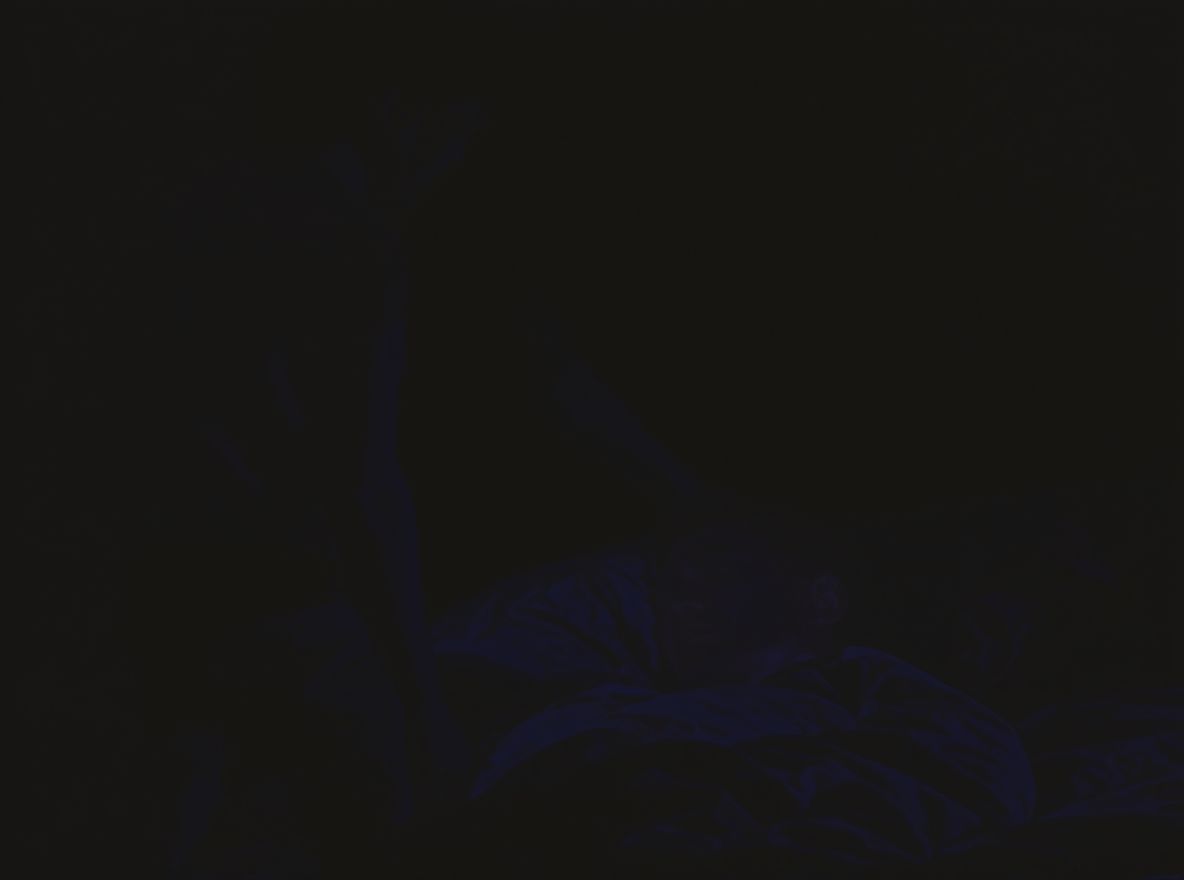 Alvajáróval találkozva a nyugalom a legfontosabb.