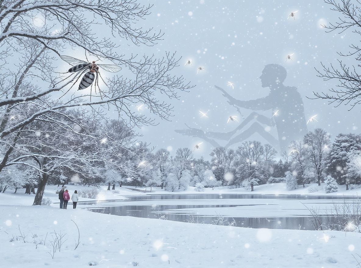 A globális felmelegedés új szúnyogfajtákat hozhat létre.